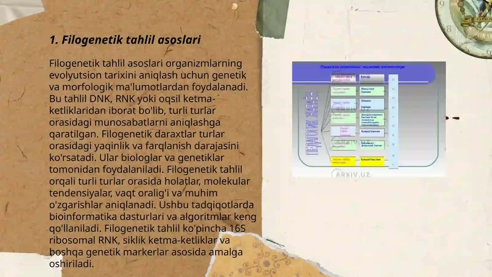 Filogenetik daratga oid masala va mashqlar tuzish metodikasi 3