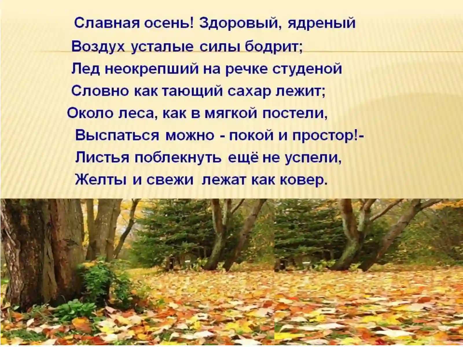 Краткие прилагательные 3