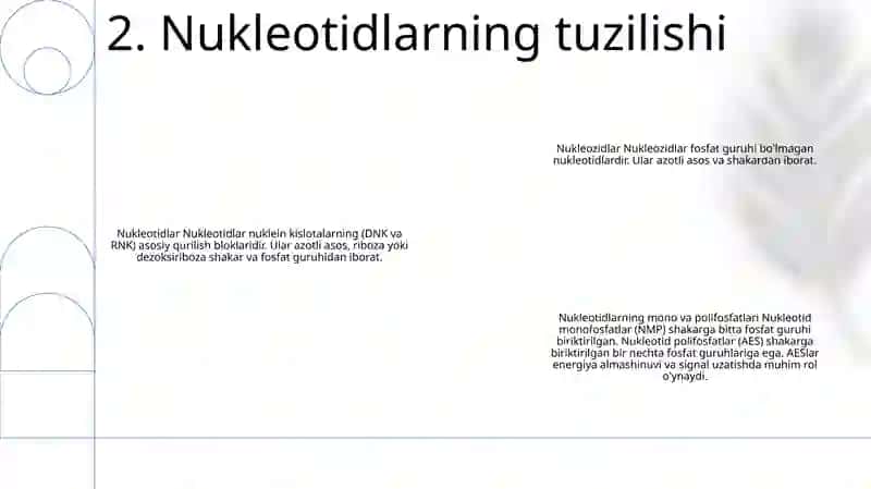 Nukleozid Nukleotid Nukleozidlarning Mona Va Polifosfatlari Nukleazid Siklofasfatlar 3
