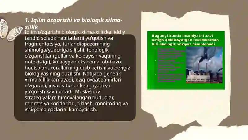 Ekologik muammolar. Iqlim òzgarishining tabiatga tasiri 3