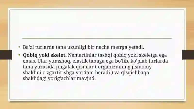 Nemertinlar (Nemertini) tuzilishi va hazm qilishi 3
