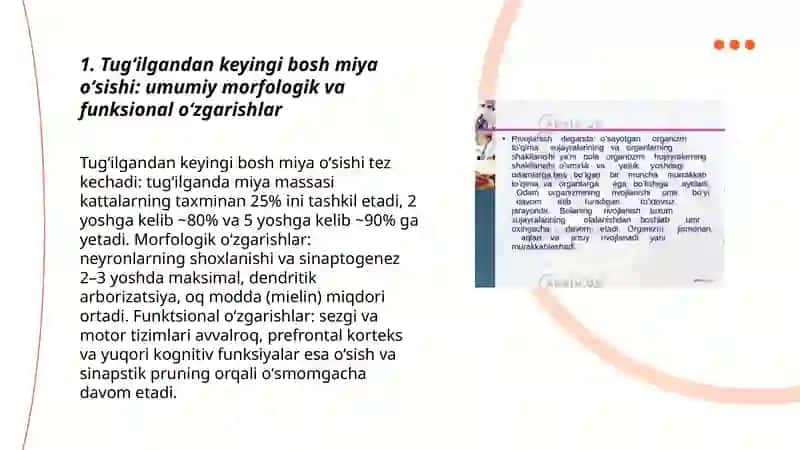 Bolalarda bosh miyaninh morfologik va funksional xususiyatlari. Tugʻilgandan keyin markaziy asab tizimining oʻsishi va differensirofkasi: neyronlar differensirofkasi, mielinizatsiya jarayoni, asab tizimining har xil boʻlimlarini rivojlanishi 3