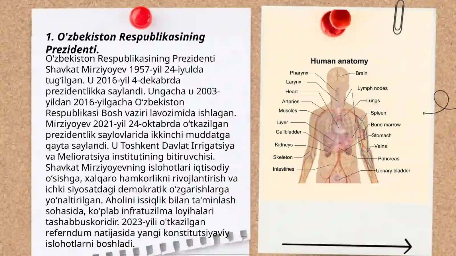 Davlat organlari tizimi 3