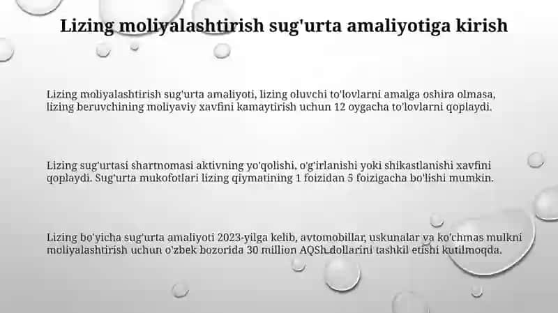 Lizing hafini sug'urta qilish amaliyoti 3