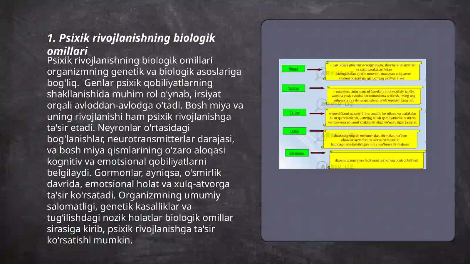 Psixik rivojlanish omillari va muammolari 3