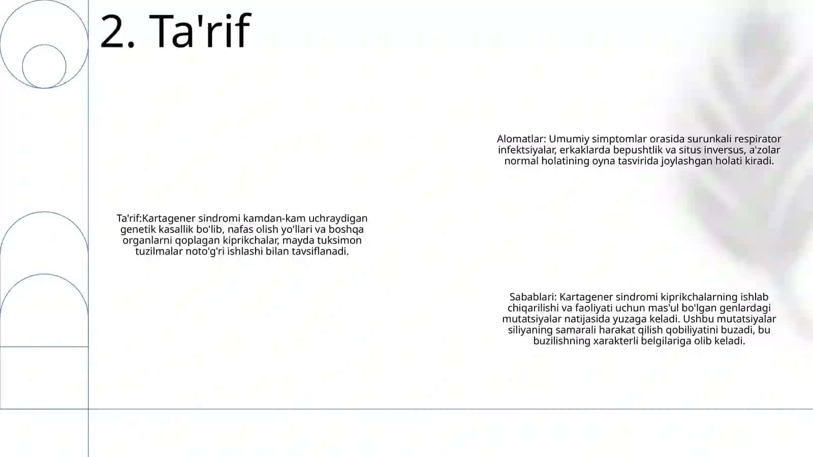 Kartagener Sindromi 3