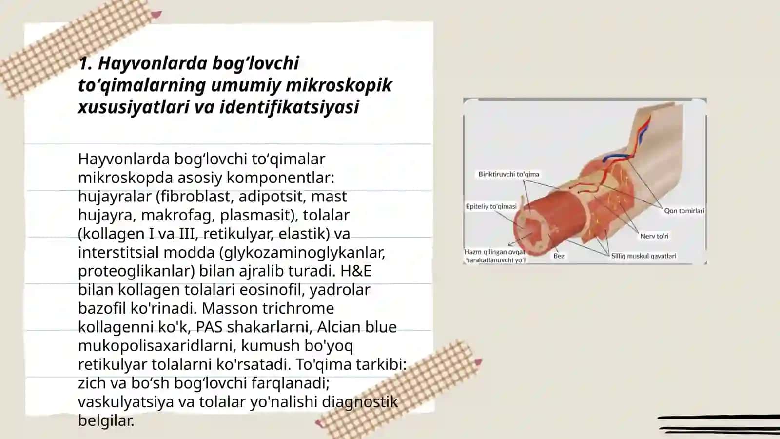 Hayvonlarda Biriktiruvchi toʻqimalarni mikroskop ostida oʻrganish va bir-biridan farqlash 3
