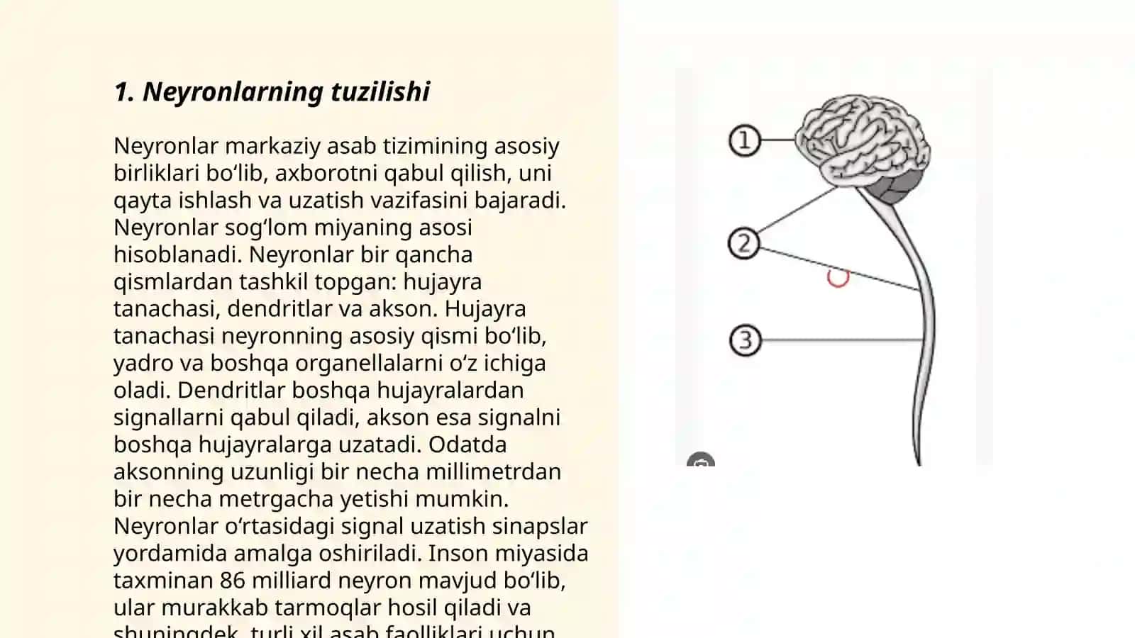 Sinaptik harakatlanish 3