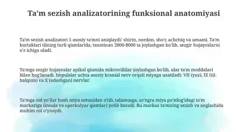 Ta'm va hid bilish analizatorlarning funksional anatomiyasi 3