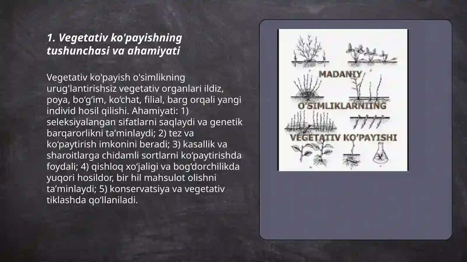 O'simliklarning vegetativ ko'payishi 3