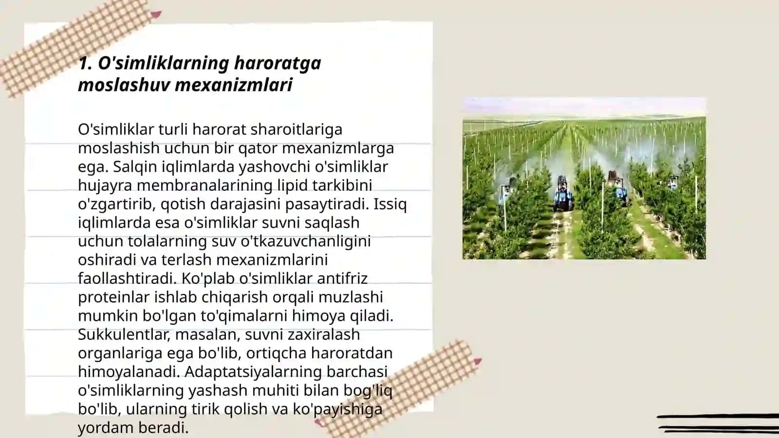 O'simliklarni haroratga va suv omiliga mostlashuvi 3
