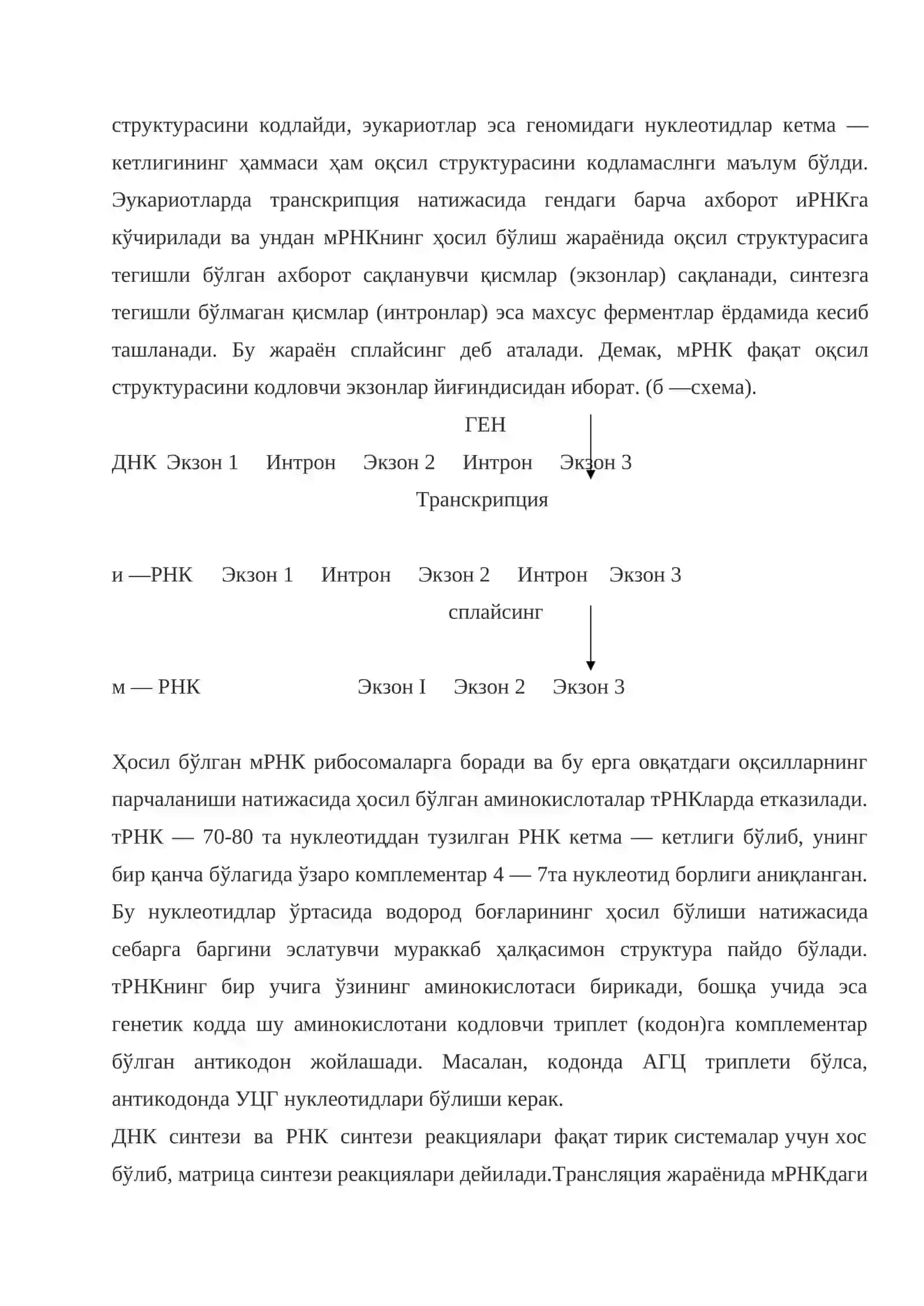 t-rnkning izoakseptorlik funksiyasi.ribosomalarning funksiyasi va tusilishi 3