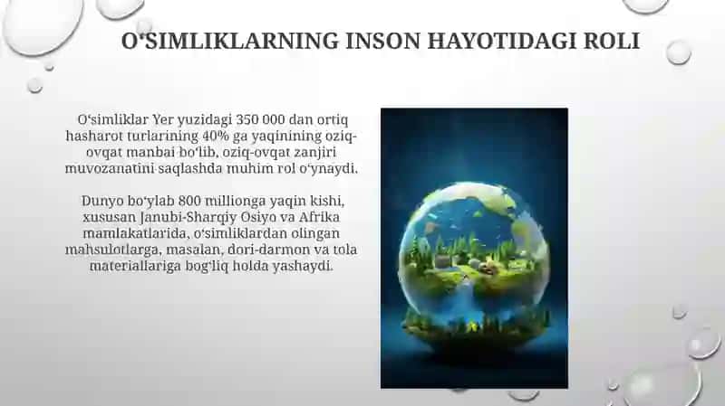 Oʻsimliklarning inson hayotidagi roli 3