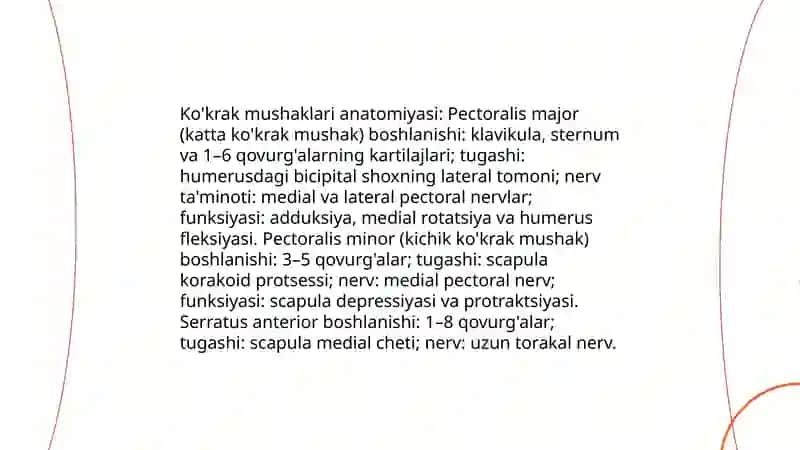 Kokrak mushaklari 3