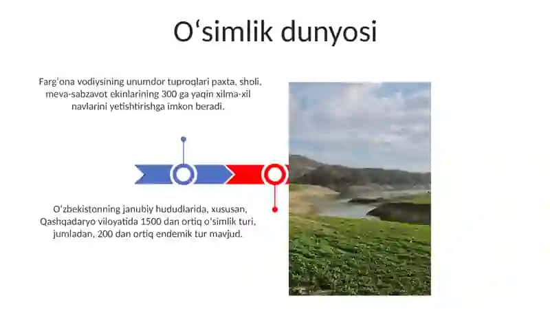 Oʻzbekiston Tuproq Qoplami va Oʻsimliklari 3