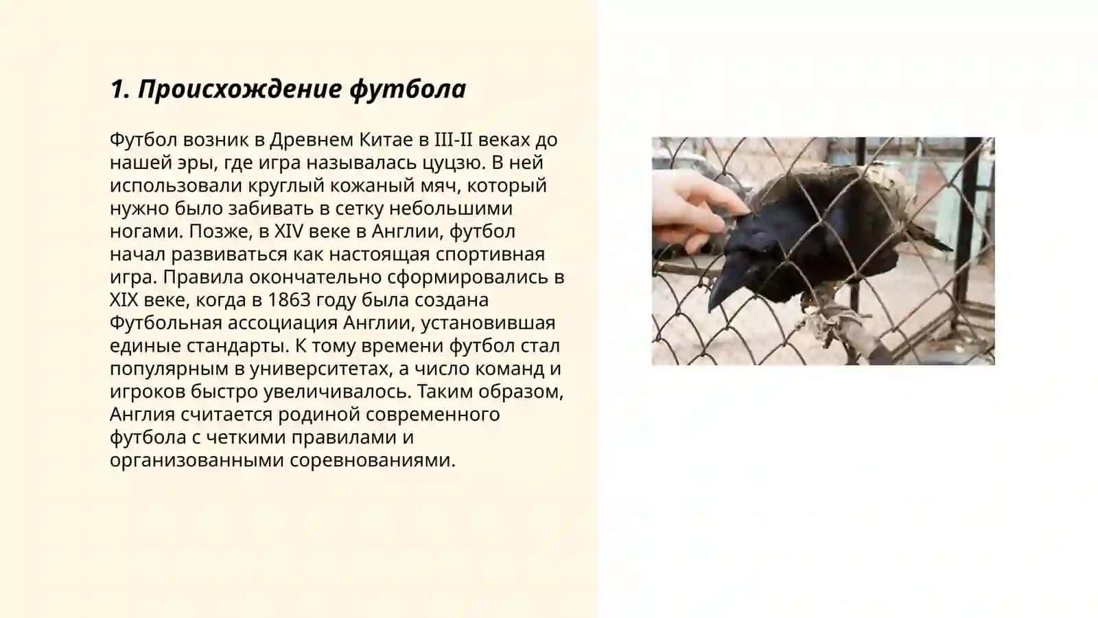 История футбола 3