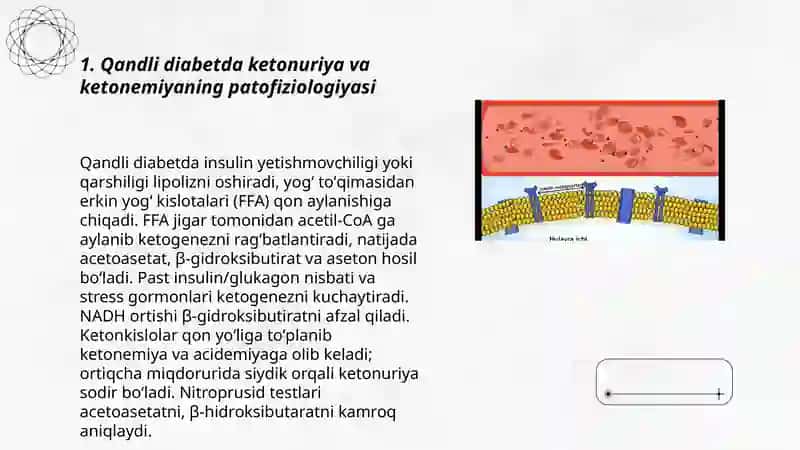 Qandli diabet va ochlikda ketonuriya va ketonemiya 3