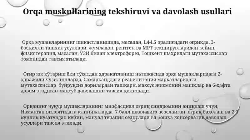 Tananing orqa sohasidagi mushaklar va fassialqr 3
