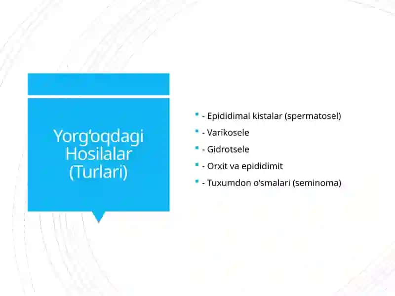 Yorg‘oqdagi va Chov Sohasidagi Hosilalar 3