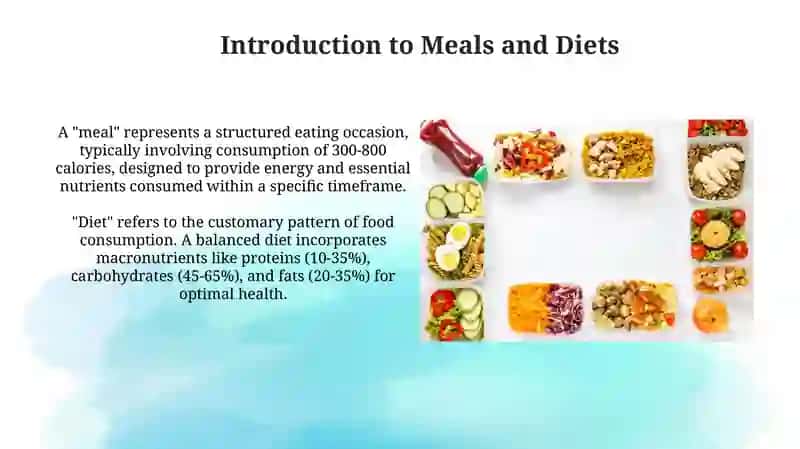 Meals and diets 3