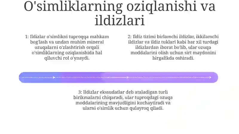 O'Simliklarni Mineral Oziqlanish Jarayonida Ildizning Ahamiyati 3