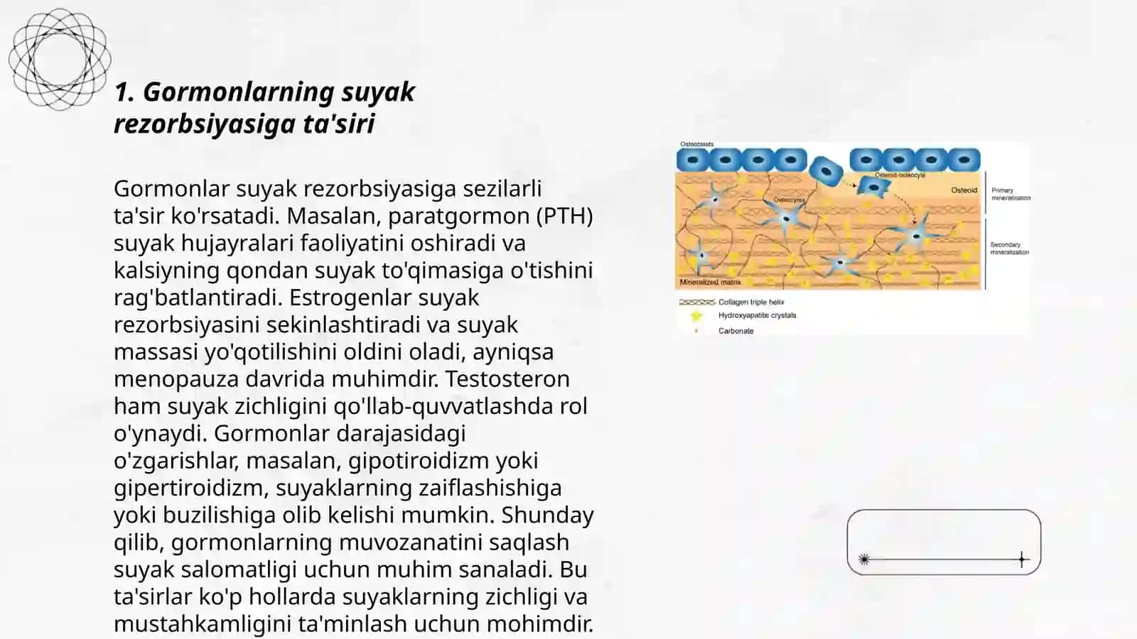 Gormonlar va o'sish omillarining suyak rezorbsiyasi va osteogenez jarayonlarini boshqarilishdagi ahamiyati 3