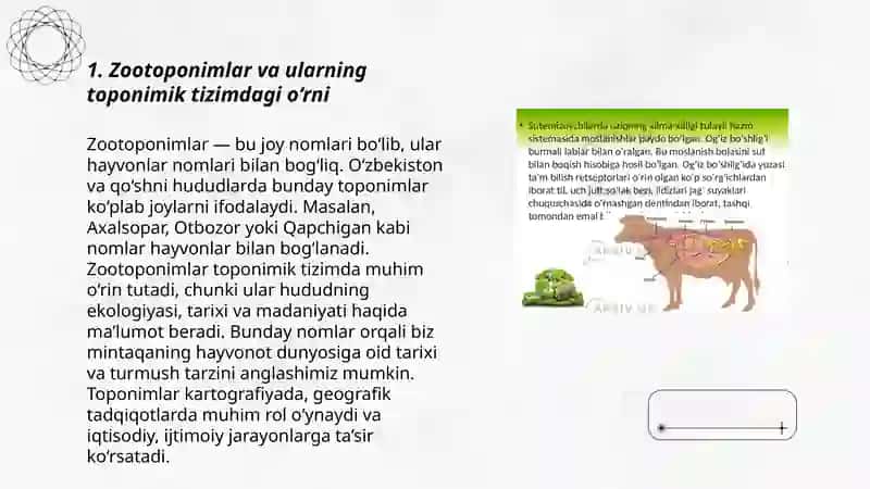Xayvonot dunyosini toponimlar hosil bo'lishidagi axamiyati zootoponimlar 3