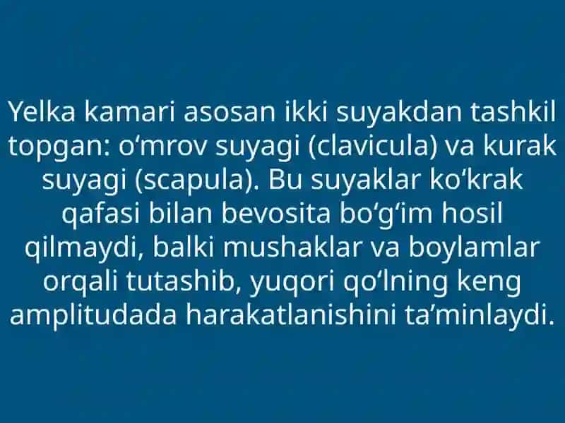 Yelka kamari shikastlari 3