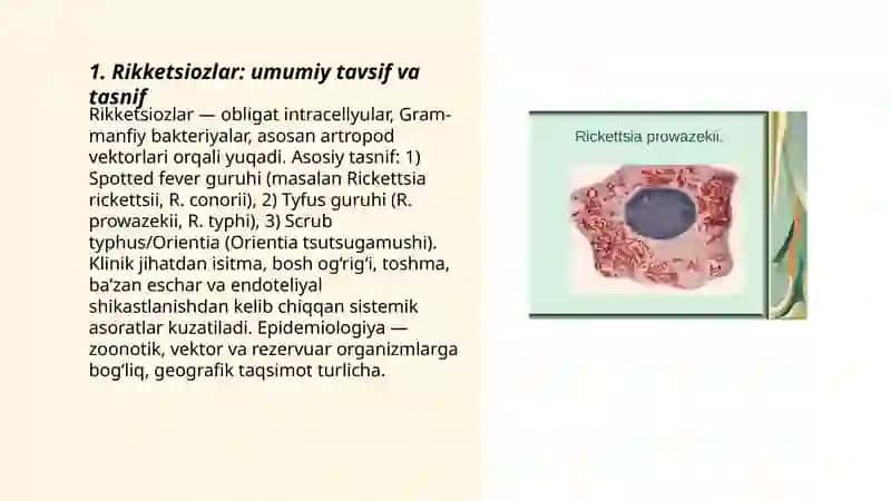 Rikketsiozlar. Etiologiya, epidemiologiya, klinikasi, diagnostika, davolash 3