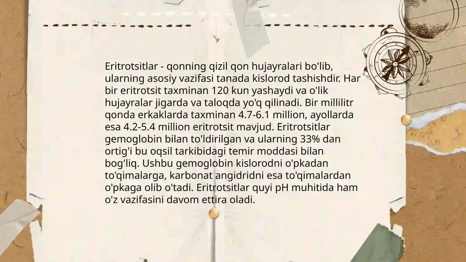 Eritrotsitlar va ularning funksiyalari 3