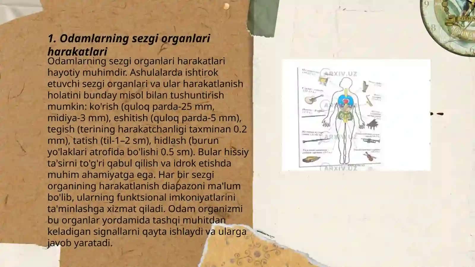 Odamning tik holdagi harakatlarining klassifikatsiyasi 3