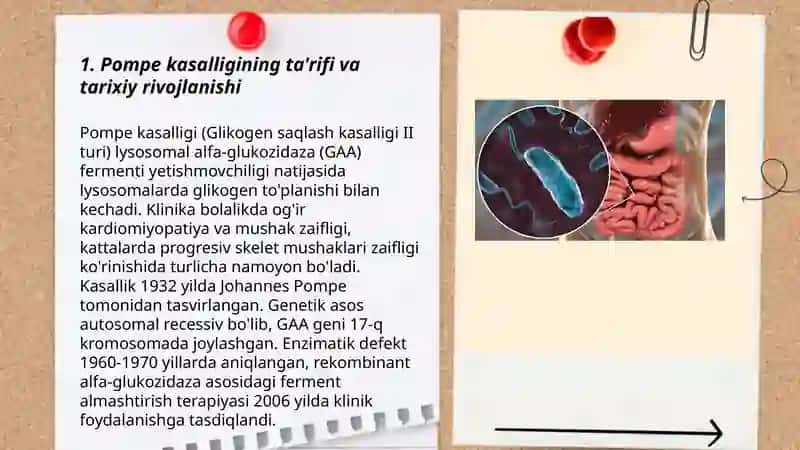 Pompe kasalligi 3