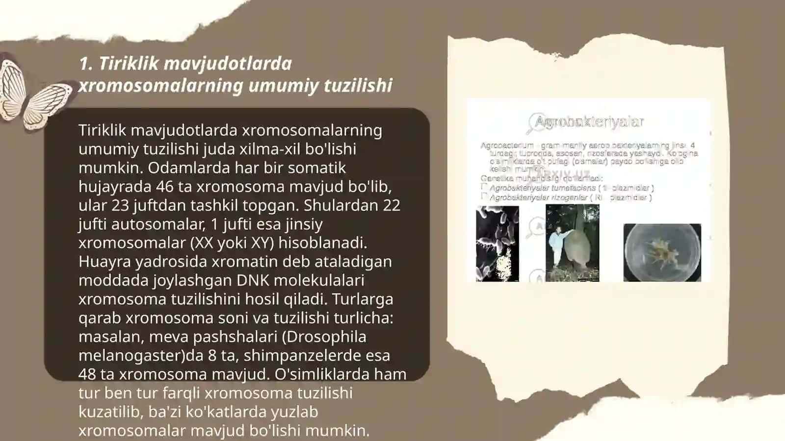 tirik mavjudotlar xromosomalarning tuzilishi,soni va genetik xaritalashdagi ahamiyati 3