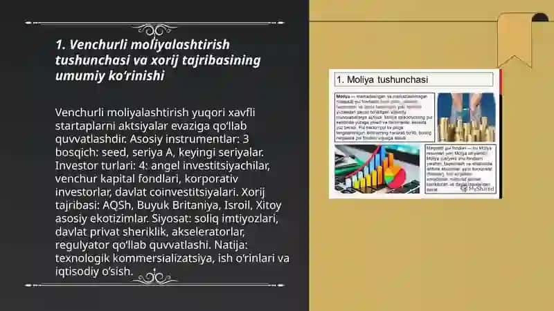 Venchurli moliyalashtirishning xorij tajribasi va zarurligi 3