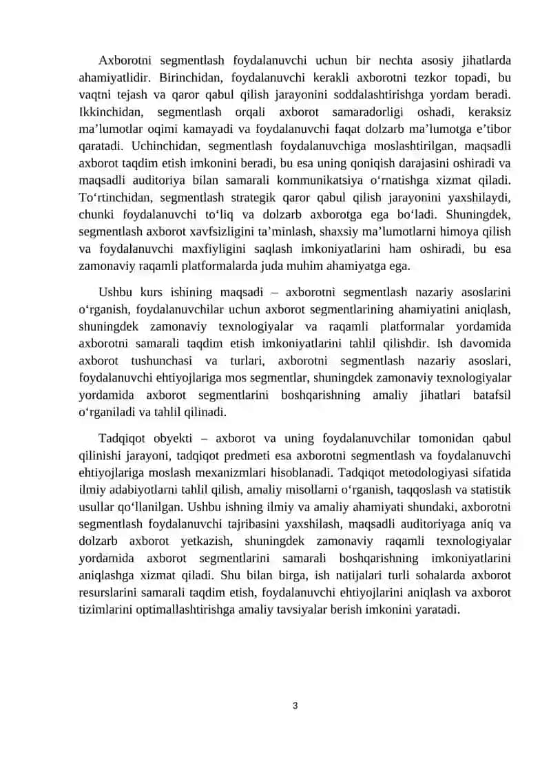 Segmentlar bo'yicha axborotlarning foydalanuvchilar uchun ahamiyati 3