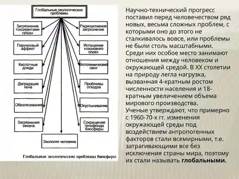 Глобальная экологическая проблема. 3