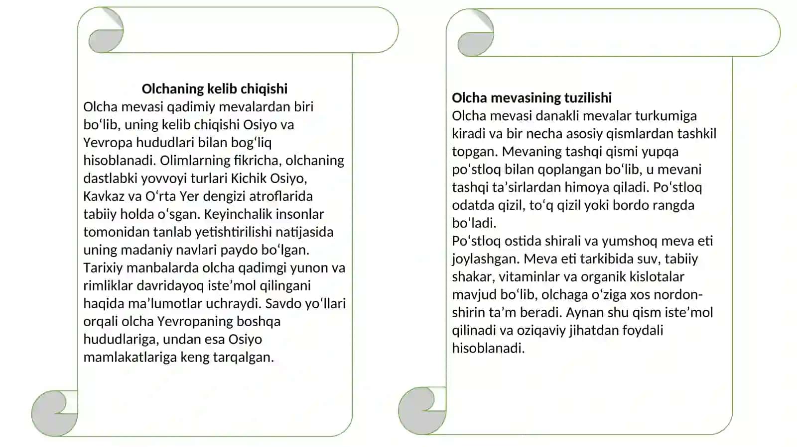 Olcha quritish texnologiyasiga 3