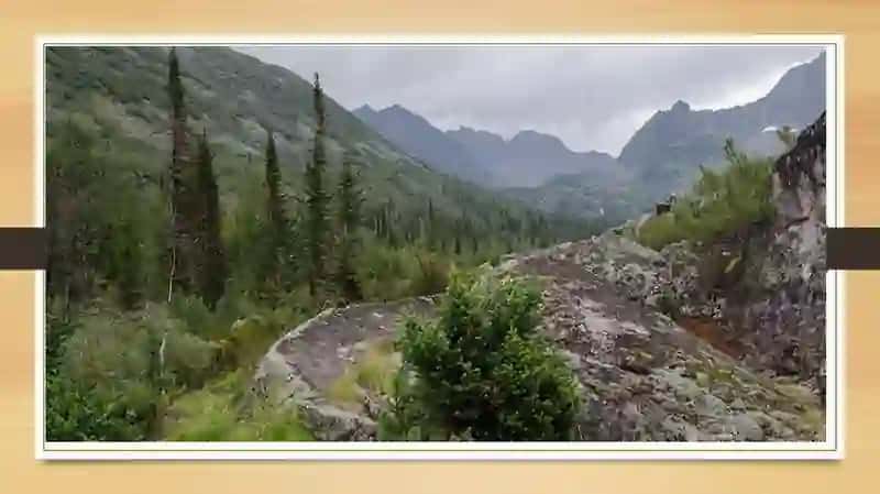 Qoraqalpog’istonda biologik resurslarni muhofaza qilishdatabiiyhududlarningo’rni 3