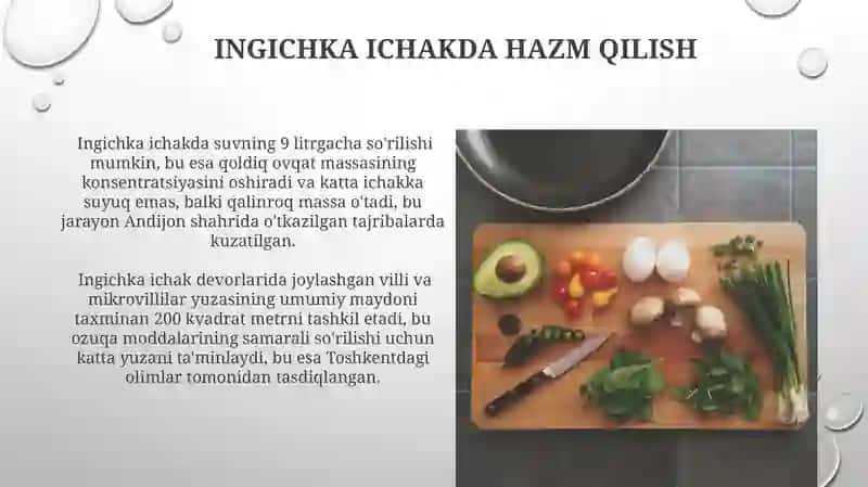 Ovqat va uning hazm bolishi haqida tushuncha 3