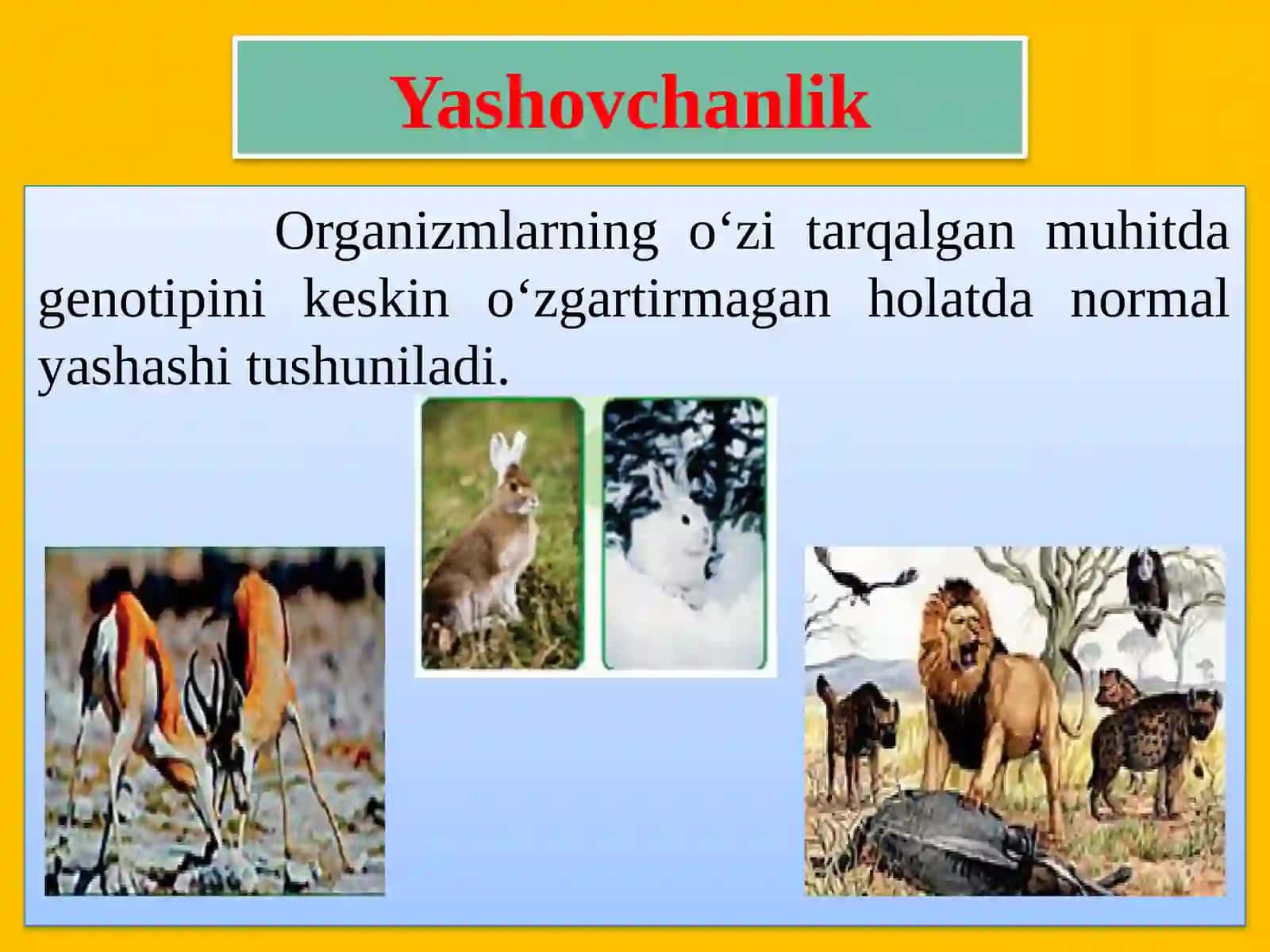 ORGANIK OLAMDA MOSLANISHLAR – EVOLUTSIYA NATIJASI 3