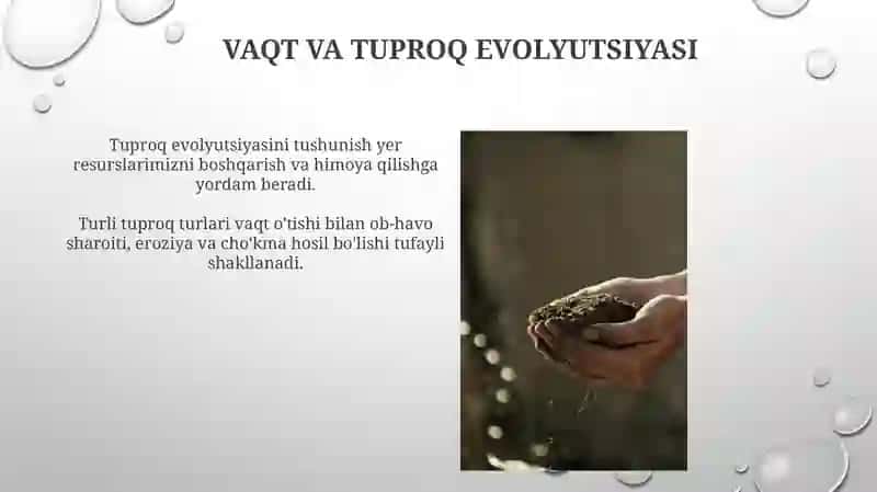 Tuproqlar geografiyasining shakllanish tarixi 3