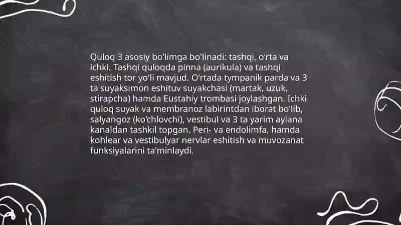 Eshituv va muvozanat organlari 3