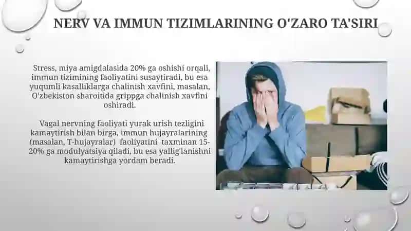 Organizmning nerv, immun- endokrin boshqariluvi 3
