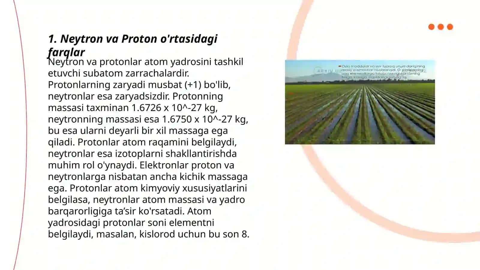 Neyston va Pleyston suv oʻtlari 3