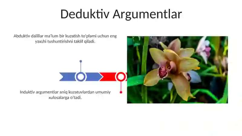 Hujjat turlari va xususiyatlari 3