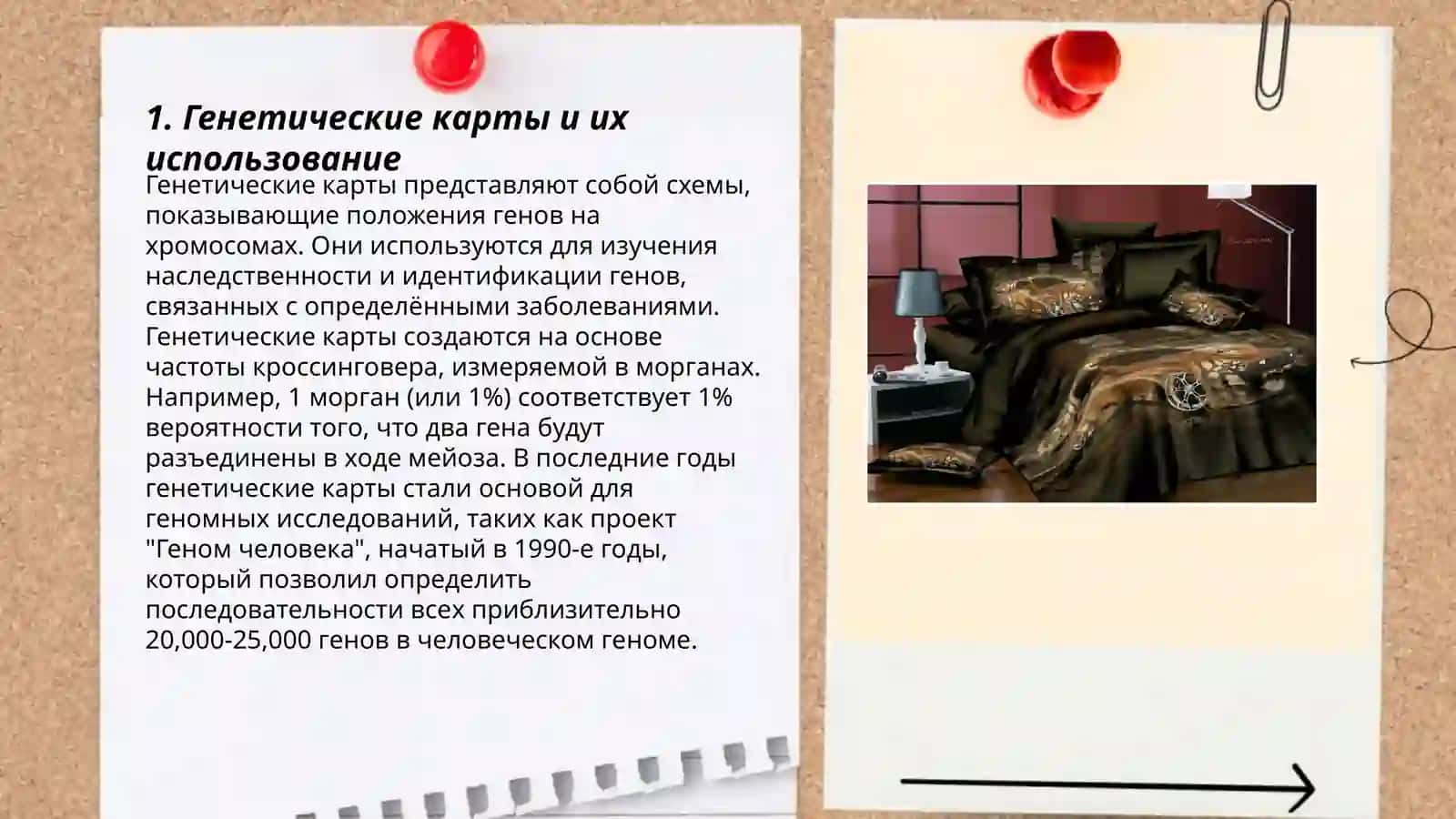 Методы изучения наследственной изменчивости человека 3