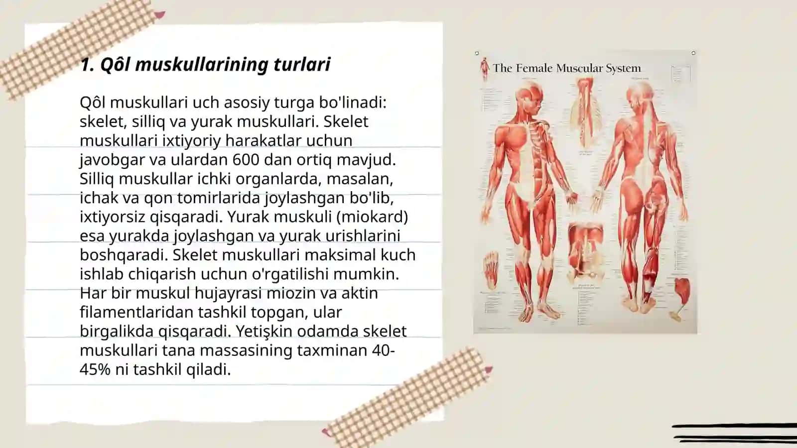 Qôl muskullarining tuzilishi 3