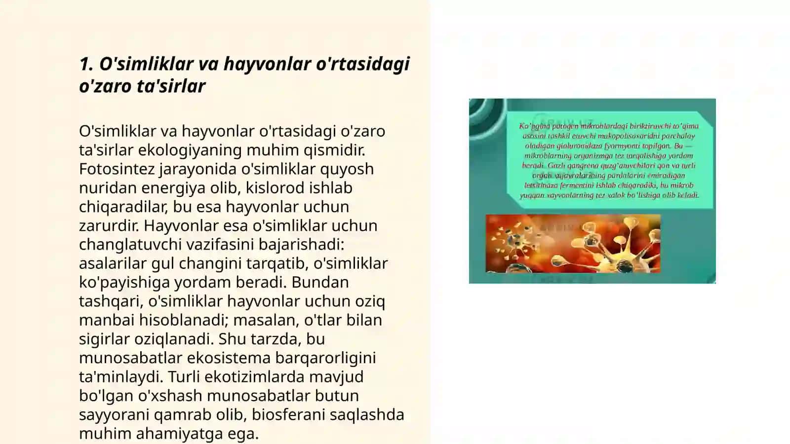 Organizm va muhit oʻrtasidagi oʻzaro taʼsirlashuv 3