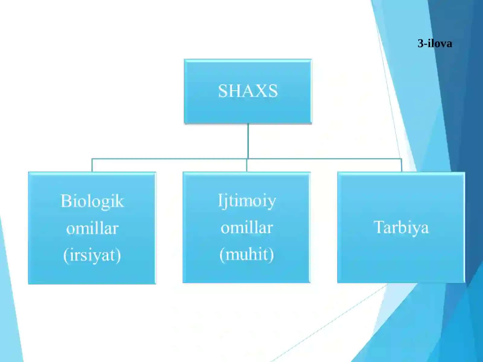 Shaxsning rivojlanishi, tarbiyasi va ijtimoiylashuvi 3
