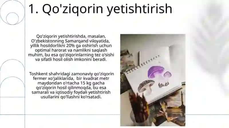 Zamburugʻlar va ularning turlari 3